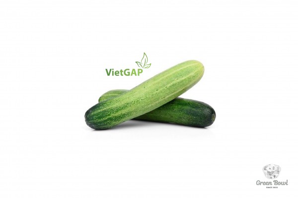 Dưa leo 