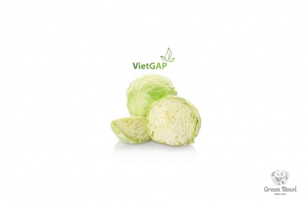 Bắp cải trắng 