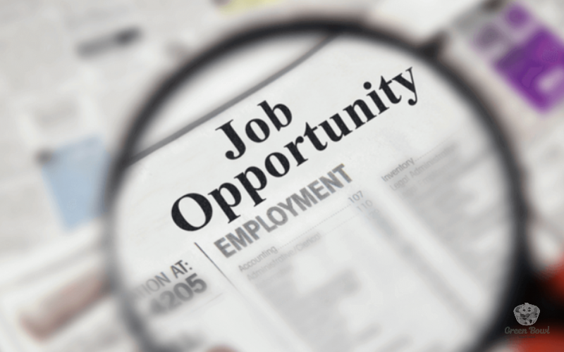 Cơ hội nghề nghiệp